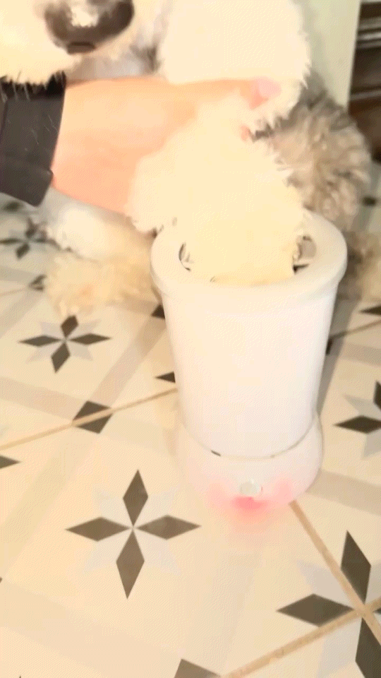 PawLuxe Paw Washer